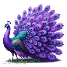 An exquisite rendition of a peacock, this image breathes new life into the classic symbol of grace with its vibrant violet plumage. Each feather is intricately detailed, adorned with captivating eye patterns in teal and indigo, set against a tranquil natural backdrop. This artistic masterpiece combines hyper-realistic textures with a fantastical palette, creating a mesmerizing and elegant portrait that enchants and delights. Colorful Owl Art, Peacock Color Scheme, Peacock Colours, Feather Printable, Elegant Portrait, Android Wallpaper Blue, Purple Feathers, Peacock Images, Grace Symbol