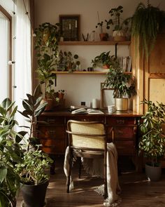 a room filled with lots of potted plants next to a wooden desk and chair