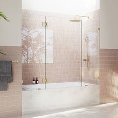 a bathroom with a walk in shower next to a bath tub