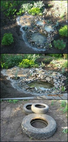 an old tire turned into a garden pond