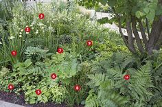 a garden with lots of green plants and red numbers on the planter's side