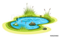 a small pond with grass and rocks