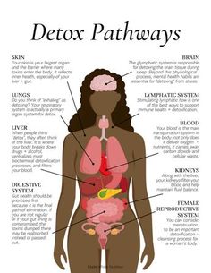 Detox Pathways, Functional Health, Inner Health, Resep Diet, Feminine Health, Makanan Diet, Health Research