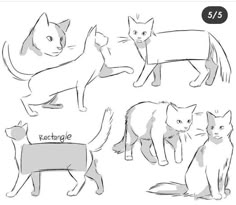 four different types of cats with their names in each one's hand drawn style