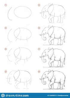 Draw Nature, How Draw, Step By Step Sketches, Elephant Sketch, Ancient Drawings, Pencil Drawing Tutorials, Drawing Tutorials For Beginners, Elephant Drawing, Drawing Tutorial Easy