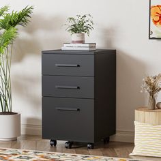 a black filing cabinet sitting next to a potted plant on top of a wooden floor