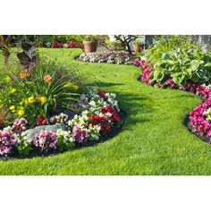 the garden is full of colorful flowers and plants