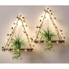 two wooden shelves with plants and lights on them