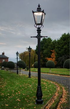 an old fashioned lamp post in the middle of a park with trees and grass on both sides