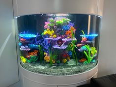 an aquarium filled with lots of different colored fish