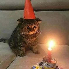 a cat wearing a party hat sitting next to a lit candle