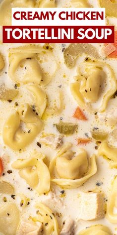 this creamy chicken tortellini soup is so good it's made in the slow cooker