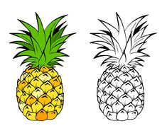 two pineapples side by side on a white background