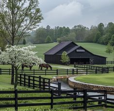 two horses grazing on grass in front of a black barn and white flowering trees with water running through the fence