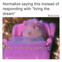 a hamster in a toy car with the caption normalize saying this instead of responding with living the dream