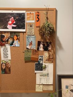 a bulletin board with pictures and magnets on it next to a potted plant