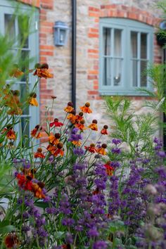 an english cottage garden with orange and purple flowers in the foreground, next to a brick building