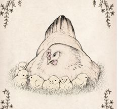 a drawing of a chicken and her chicks