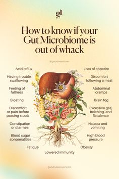 The research is overwhelming! Did you know the bugs in your gut play a significant role in the development of various diseases and may even influence how your body responds to insults, including infections? Knowing what signs to look out for to know if you have an imbalanced microbiome is key. Gut Health Diet, Gut Health Recipes, Home Health Remedies, Lifestyle Quotes, Gut Microbiome, Health Knowledge, Natural Health Remedies, Signs And Symptoms, Healthy Gut