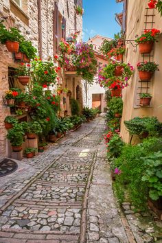 an alley way with potted plants and flowers on the windowsills in old town