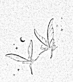 a black and white drawing of two leaves on a branch with stars in the background