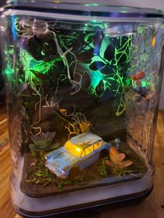 #harrypotter #jumpingspider #spiderhome #Hogwarts #weasley #forbiddenforest #spiderenclosure Jumping Spider Decor Ideas, Jumping Spider Terrarium Ideas, Jumping Spider Playground, Spider Terrarium Ideas, Diy Jumping Spider Hide, Beetle Terrarium, Mantis Enclosure