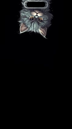 a black background with an image of a cat's face and eyes in the dark