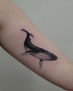 Blackwork fineline realism tattoo by Alexandyr Valentine of humpback whale on arm tattoo Humpback Whale Tattoo, Half Sleeve Tattoo Stencils, Sheep Tattoo, Whale Tattoo, Bookish Tattoos, Power Tattoo, Tattoo Shading, Hidden Tattoos, Bts Tattoos