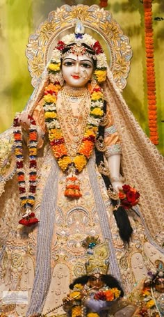 an idol is displayed in front of a backdrop