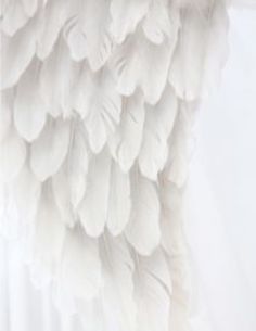 white feathers hanging from the side of a curtain