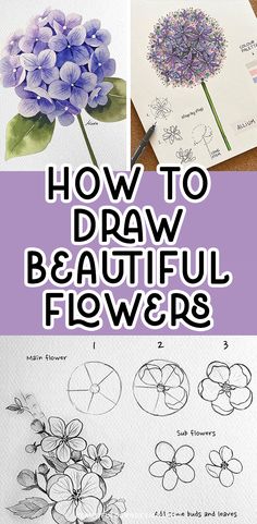 how to draw beautiful flowers for beginners