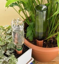 a green glass bottle sitting on top of a potted plant next to a book