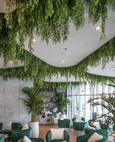 Design d'un plafond végétal 🪴🌲🌵🌴: Faire le plein d'inspiration pour vos décorations intérieures. Green Cafe Design, Ceiling Plants, Green Lobby, Lobby Cafe, Willow Trees, Restaurant Architecture, Cafe Interior Design, False Ceiling Design, Restaurant Interior Design