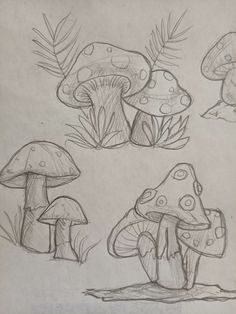 three different types of mushrooms are shown in this drawing