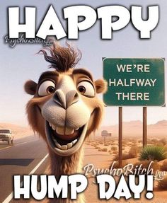 a happy hump day greeting card with an image of a camel holding a sign