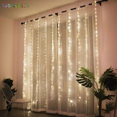 the curtains are covered with white lights and some plants in front of them is a potted plant next to a window