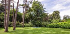 a lush green yard surrounded by trees and bushes