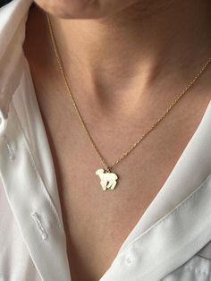 🐑Isn't it really sweet?🐑 Get this beautiful minimalist jewelry made with the quality of perfect elements✨ You can choose 925K Sterling Silver with the options of Gold, Rose Gold or White Gold colors. High quality jewelry for everyone 🤍 Details * 925K Sterling Silver Option → 14K Gold, Rose Gold or White Gold plated * Chain length is approximately either 18 inches / 45 cm or 22 inches / 55 cm 18 inches (16+2 in extender) / 45 cm (40+5 cm extender) 22 inches (20+2 in extender) / 55 cm (50+5 cm Animal Necklace, Gold Colors, Pet Necklace, Gold Plated Chains, Necklace Gift, High Quality Jewelry, Minimalist Jewelry, Quality Jewelry, Gold Rose