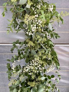 an arrangement of green leaves and white flowers