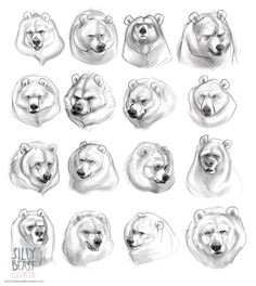 a bunch of bears that are drawn in pencil