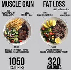 Healthy Eating For Muscle Gain, Healthy Dinner Recipes To Gain Muscle, Protein Vs Calories, Fat Loss Vs Weight Gain Meals, Meals For Fat Loss And Muscle Gain, Fat Loss And Muscle Gain Diet, Fat Loss Muscle Gain Meal Plan, Same Weight Fat Vs Muscle, Meal Prep For Fat Loss And Muscle Gain