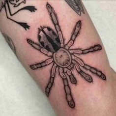 a black and white photo of a spider tattoo