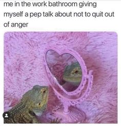 a lizard looking at its own reflection in a mirror that says, me in the work bathroom giving myself a pep talk about not to quit out of anger