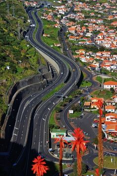 an aerial view of a city with lots of traffic on the road and palm trees in the foreground