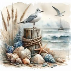 a seagull sitting on top of a wooden post next to seashells