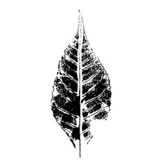 a black and white drawing of a leaf