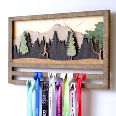 four medals hang on a wooden rack in front of a mountain scene with trees and mountains