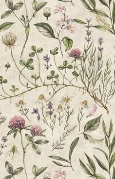 a painting of flowers and leaves on a white background with green stems, pink blooms, and purple buds