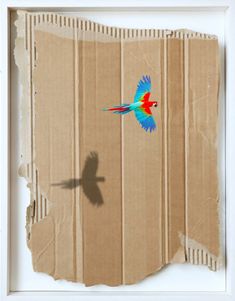 a bird flying through the air on top of a piece of cardboard with torn paper