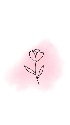 a drawing of a single flower on a pink background